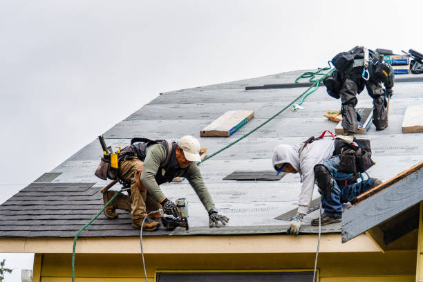 Professional Gutter Installation technician working in Glyndon, MN